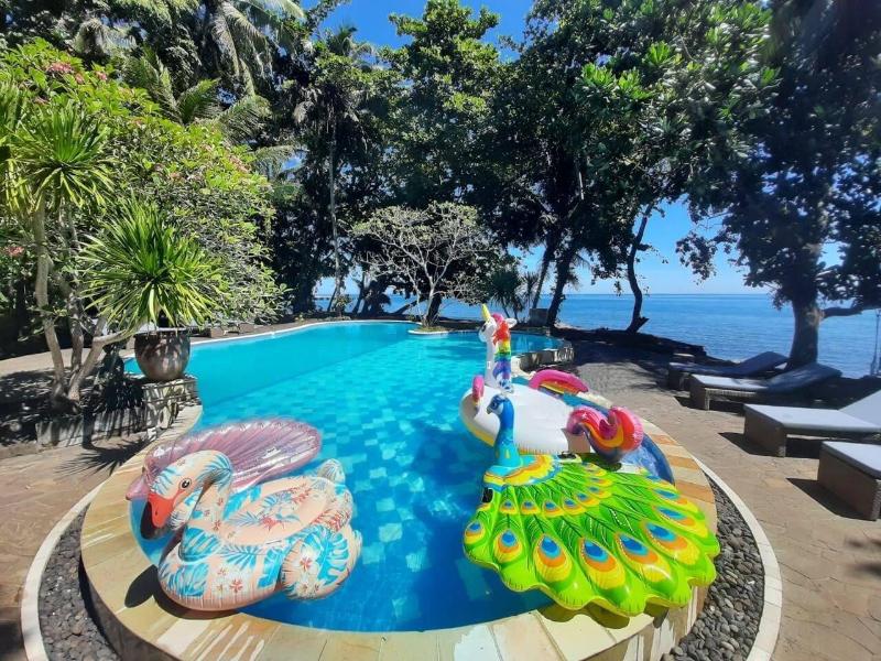 Murex Manado Dive Resort - Aktivite