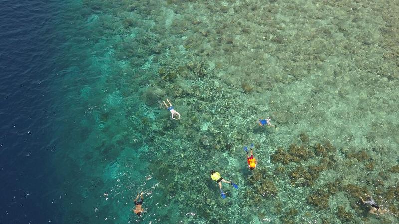 Murex Manado Dive Resort - Aktivite