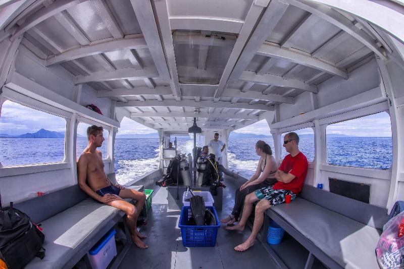 Murex Manado Dive Resort - Aktivite