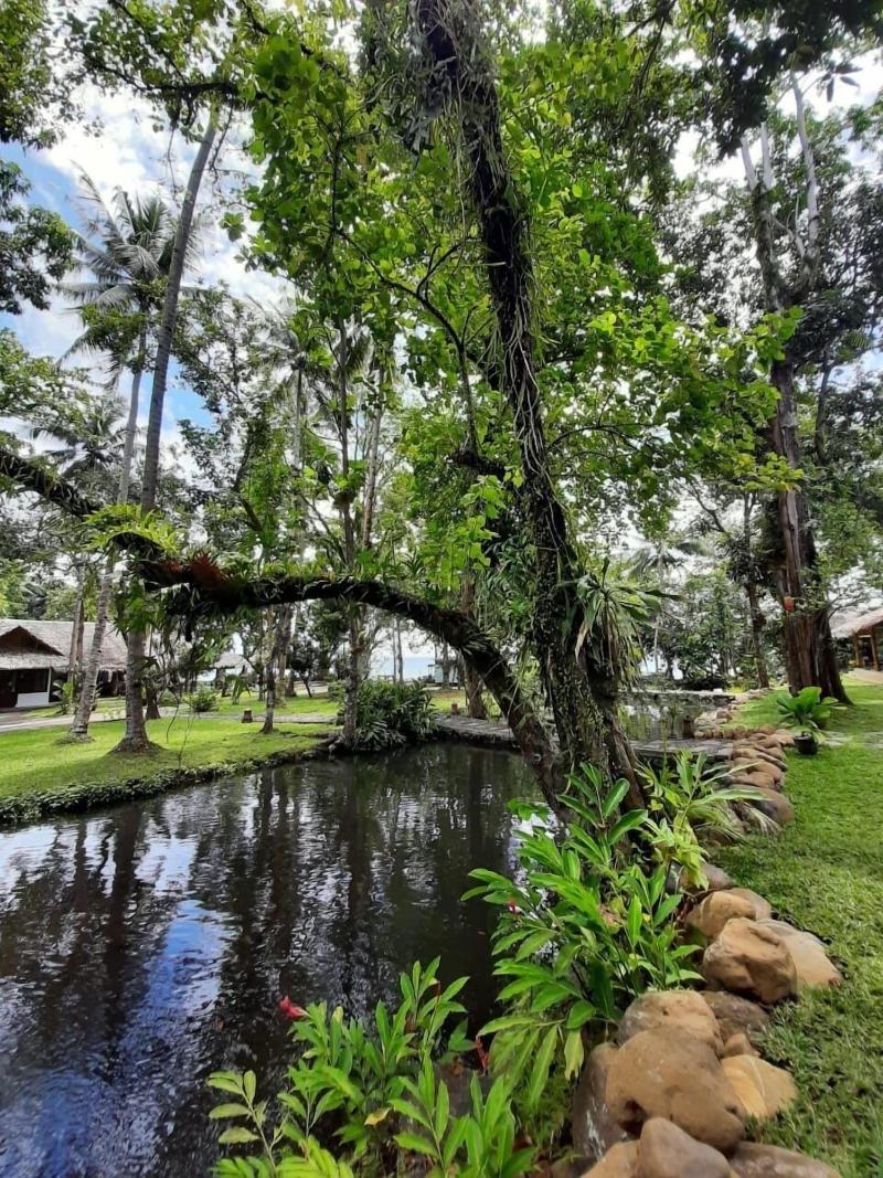 Murex Manado Dive Resort - Genel