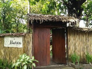 Murex Manado Dive Resort fotoÄŸrafÄ±