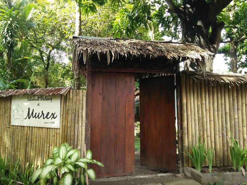 Murex Manado Dive Resort - Genel