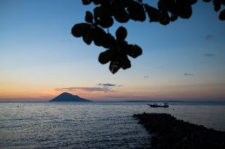 Murex Manado Dive Resort fotoÄŸrafÄ±