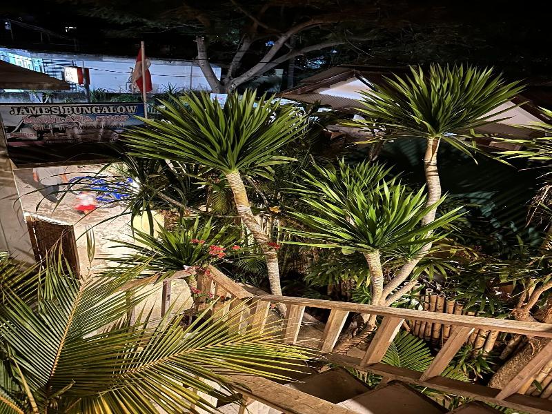 Jamess Bungalow - Genel
