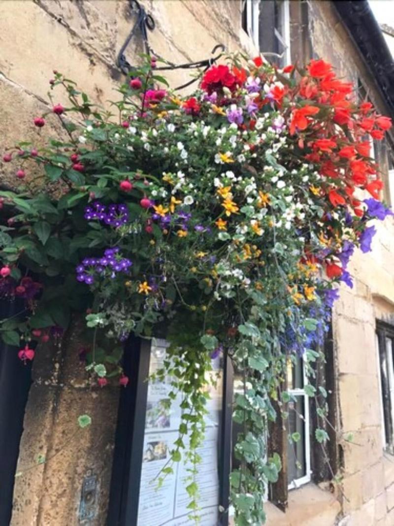 The Bantam Tea Rooms & Guest House - Genel