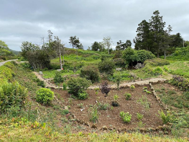 Glengorm Castle - Oda