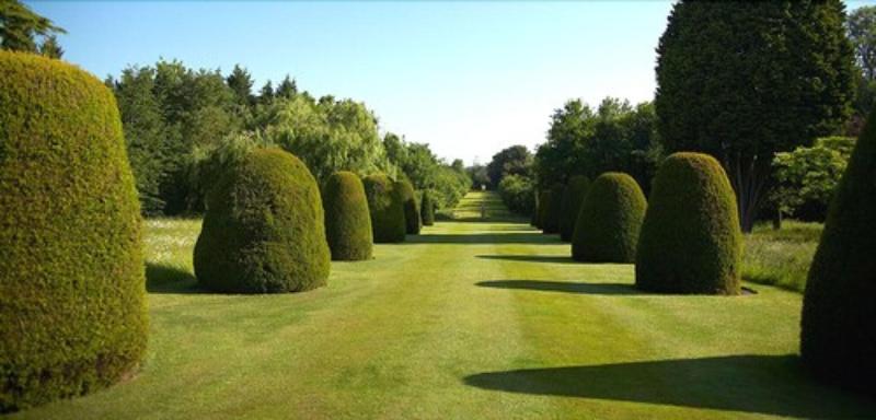 Madingley Hall - Teras