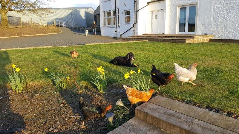 Crofthead Farm House - Genel