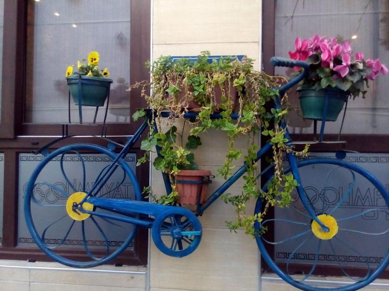 Olimpiyat Otel Izmir - Genel