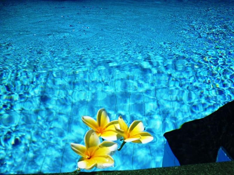 Sama's Cottages and Villas - Havuz