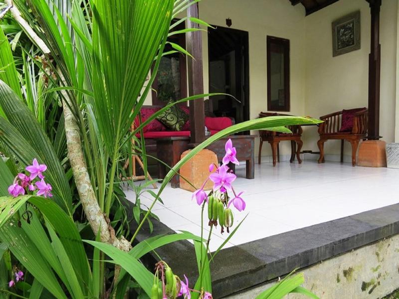 Sama's Cottages and Villas - Teras