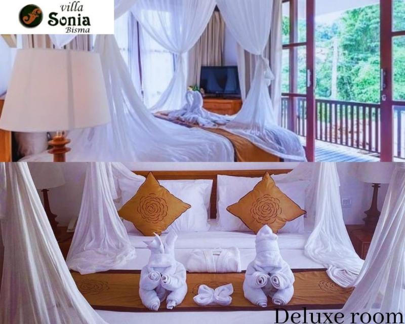 Villa Sonia Bisma - Oda