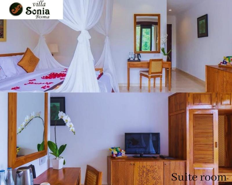 Villa Sonia Bisma - Oda