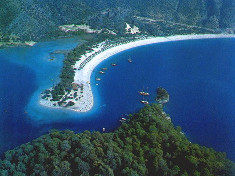 Red Rose Hotel - Genel