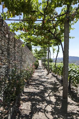 Casa De Casal De Loivos fotoÄŸrafÄ±