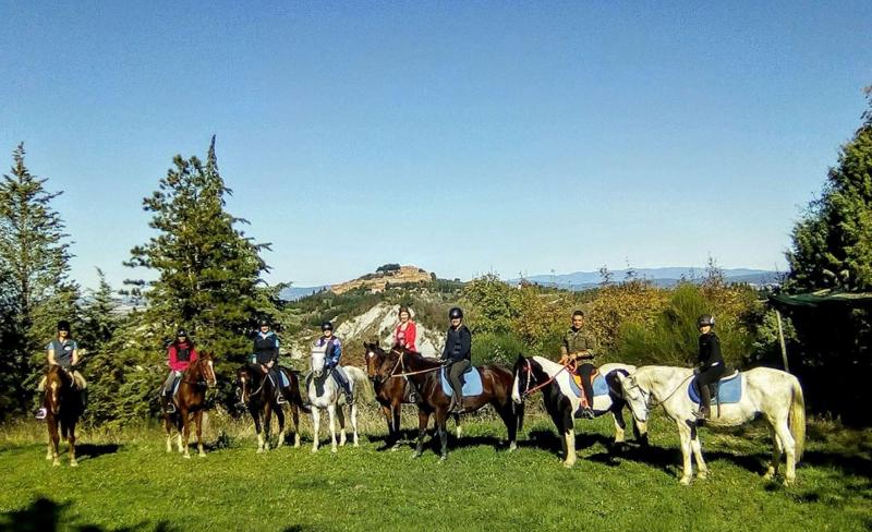 Fattoria Pieve A Salti - Aktivite