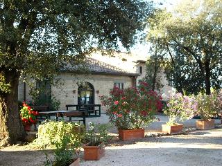 Fattoria Pieve A Salti otel fotoğrafı