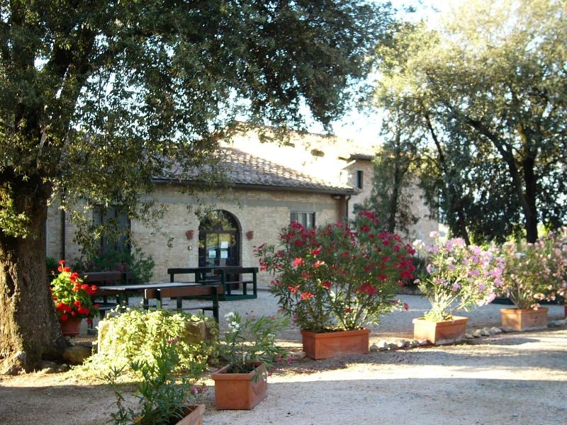 Fattoria Pieve A Salti - Genel