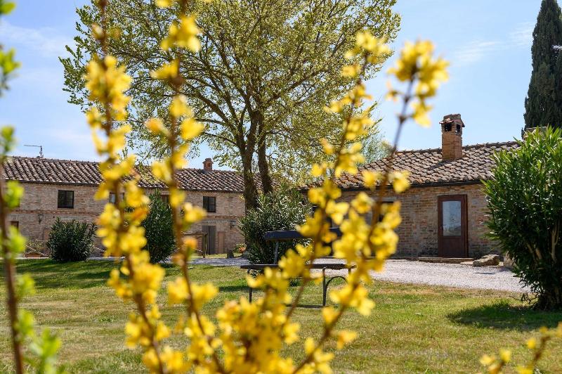 Fattoria Pieve A Salti - Genel