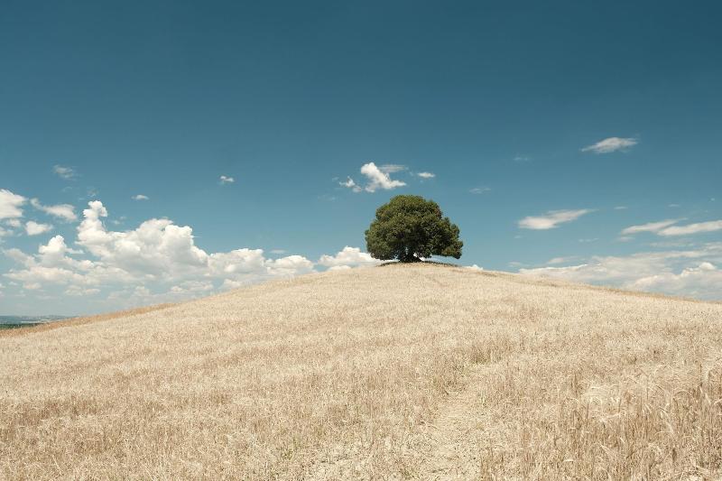 Fattoria Pieve A Salti - Oda