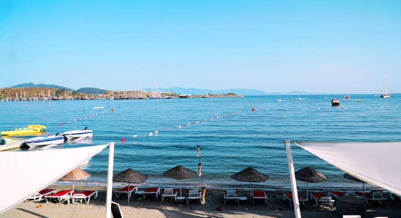 Gümbet Cove Hotel - Genel