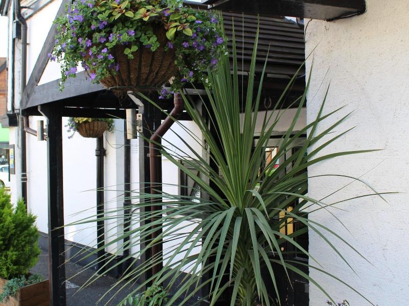 The George Hotel - Genel