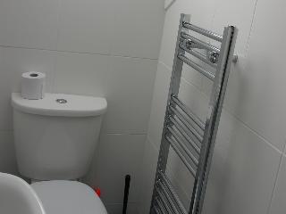 Swan Hotel otel fotoğrafı