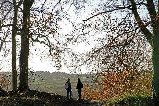 Rollestone Manor fotoÄŸrafÄ±