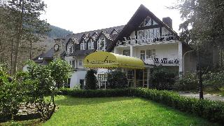 Park Hotel Am Schloss otel fotoğrafı