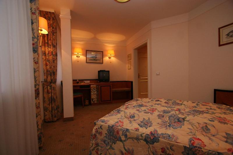 Park Hotel Am Schloss - Oda
