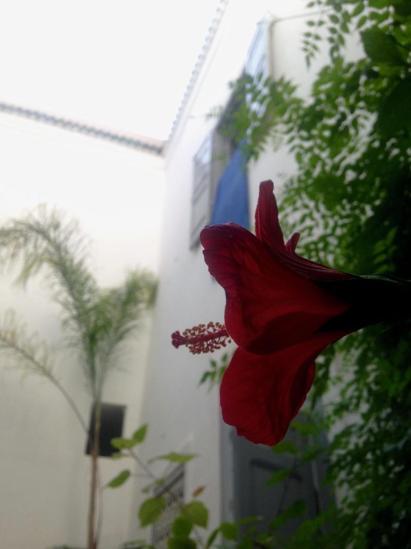 Riad Tizwa - Lobi
