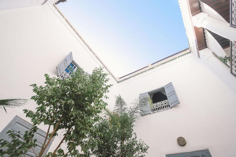 Riad Tizwa - Genel