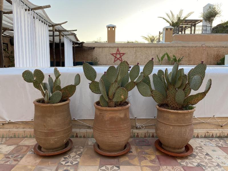 Riad Tizwa - Oda