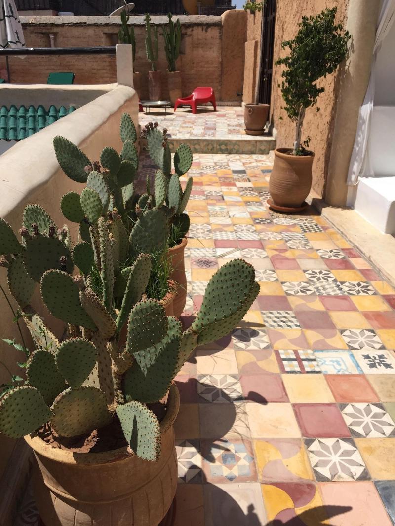 Riad Tizwa - Teras