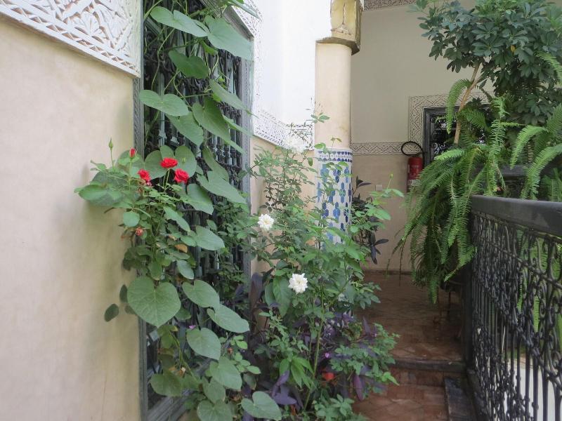 Riad Maizie - Lobi