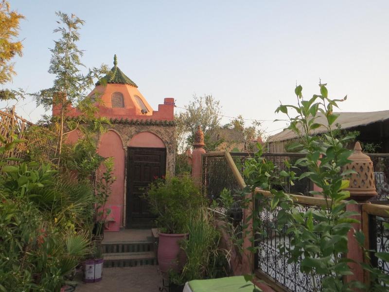 Riad Maizie - Genel