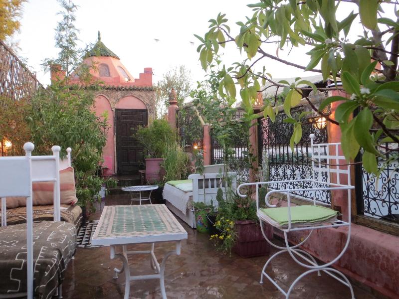 Riad Maizie - Genel