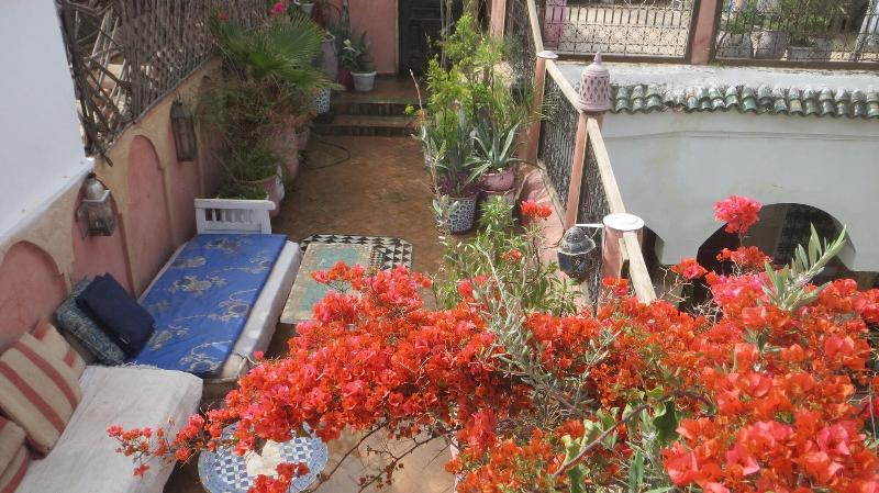 Riad Maizie - Genel