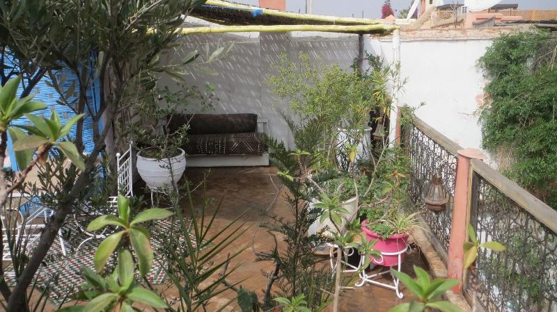 Riad Maizie - Genel