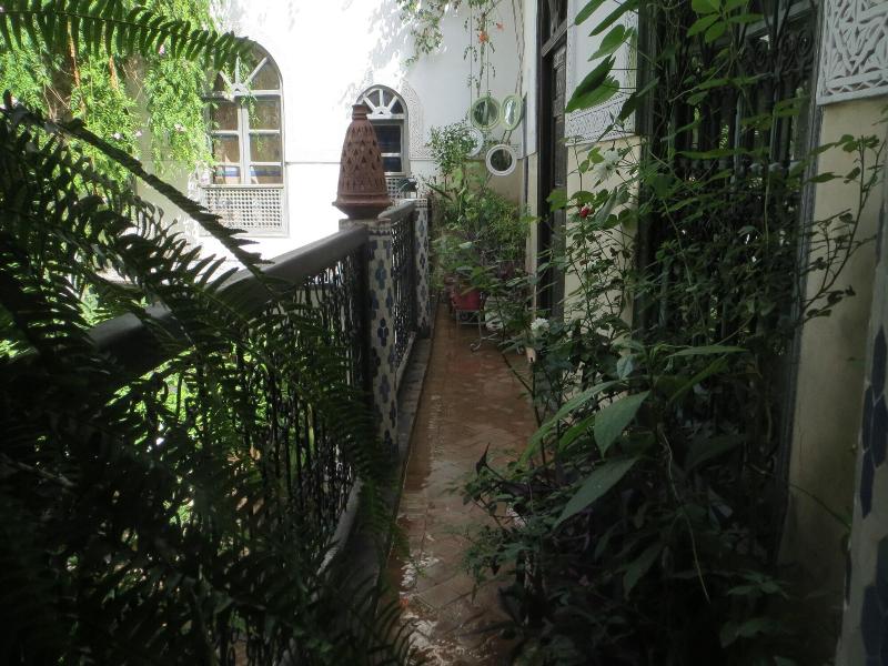 Riad Maizie - Genel