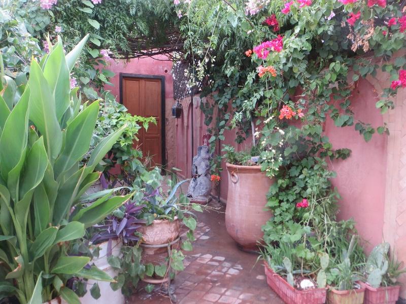 Riad Maizie - Genel