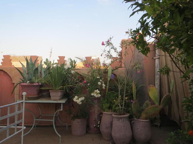 Riad Maizie - Genel