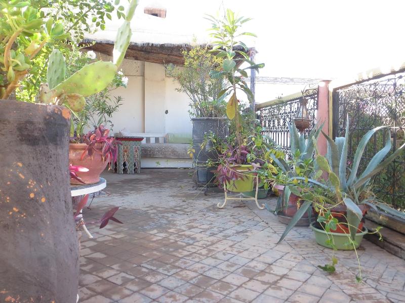Riad Maizie - Genel