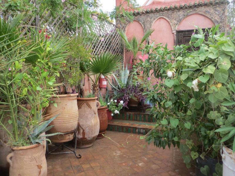 Riad Maizie - Genel