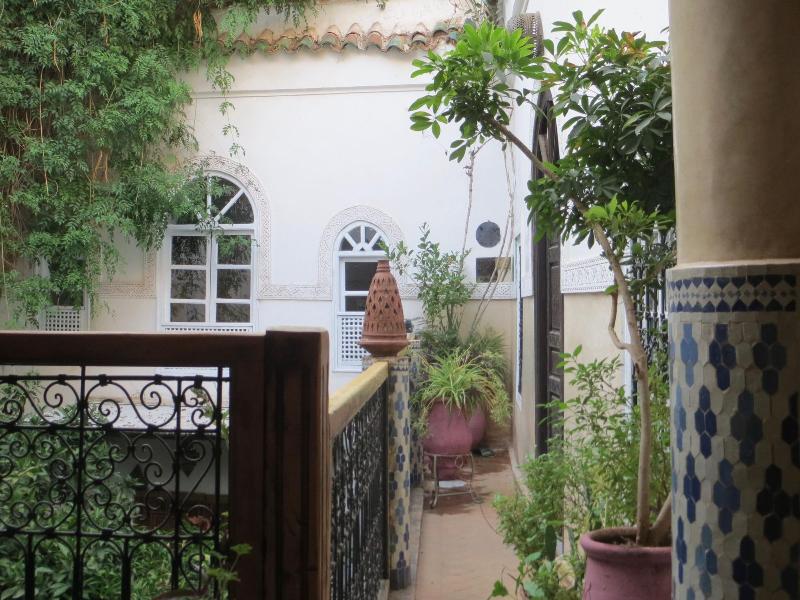 Riad Maizie - Genel
