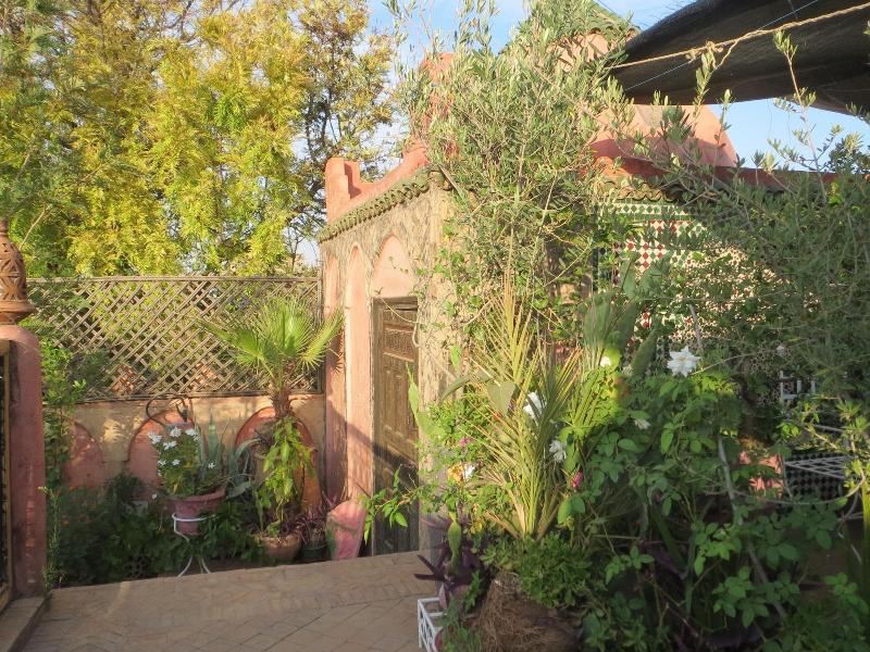 Riad Maizie - Genel