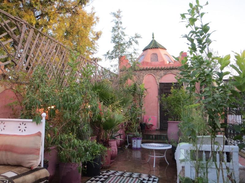 Riad Maizie - Genel