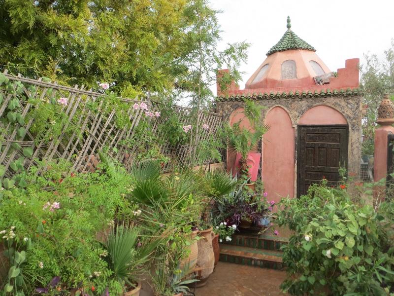 Riad Maizie - Genel