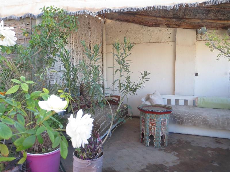 Riad Maizie - Genel