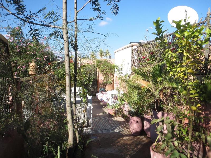 Riad Maizie - Genel
